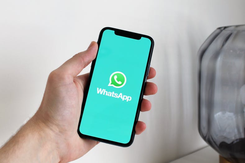 Cómo Recuperar WhatsApp: Guía Completa